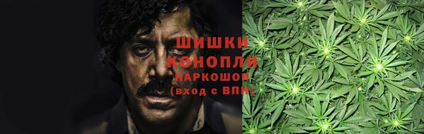 Альфа ПВП Козельск