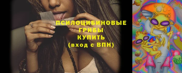 PSILOCYBIN Медногорск