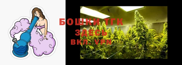 прущие грибы Михайловка
