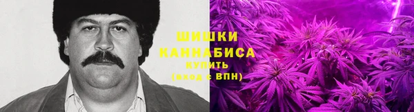 соль ск Мегион