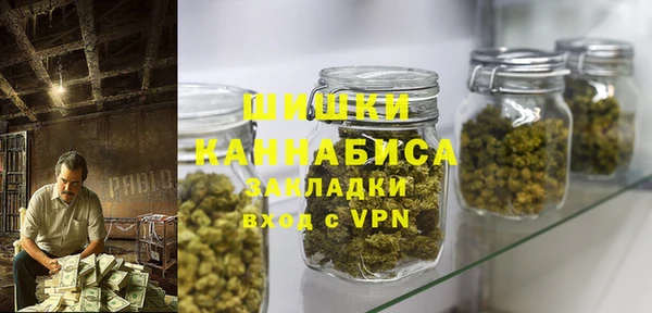 PSILOCYBIN Медногорск