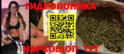 ешки Гусь-Хрустальный