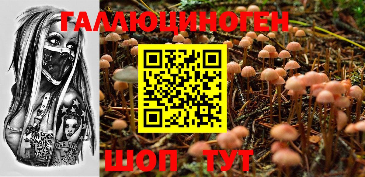 Галлюциногенные грибы прущие грибы  Вход с VPN  Нарткала 